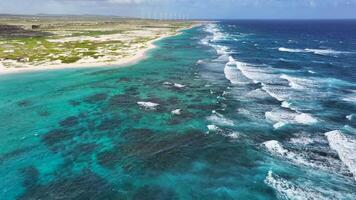 Aerial view of the coastline of Aruba video