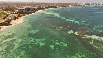 antenne visie van de strand Aan de caraïben eiland van aruba video