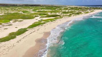 Aerial view of the coastline of Aruba video