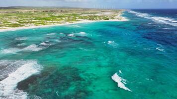 Aerial view of the coastline of Aruba video