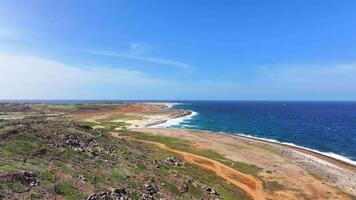 Aerial view of the coastline of Aruba video