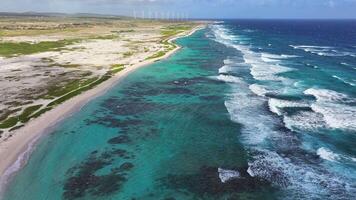 Aerial view of the coastline of Aruba video