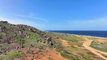 Aerial view of the coastline of Aruba video