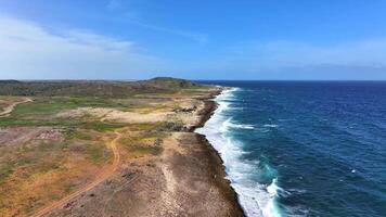 Aerial view of the coastline of Aruba video