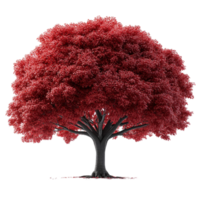 A Vibrant Red Maple Tree on transparent background png