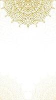 Simple Elegant Gold and White Floral Mandala Art Vertical Background with Intricate Hand Drawn Patterns Animation Design video