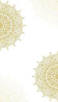 Graphic Animation Of Elegant Clean White Vertical Background with Intricate Golden Mandala Art on Minimalist And Hand Drawn Style video