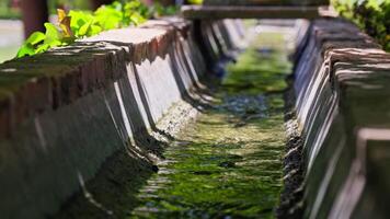Water flowing through a stone canal in a garden setting video