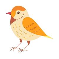 A cartoon bird with a yellow beak and orange feathers. It is standing on a white background vector