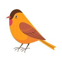 A cartoon bird with a red beak and orange feathers. It is standing on a white background vector