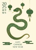 A snake is on a white background with Chinese characters. The snake is green and has a gold stripe vector