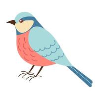 A blue and pink bird is standing on a white background. The bird has a curious expression on its face vector