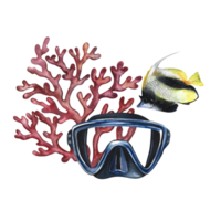Marine, coral fish, coral and diver's mask. A hand-drawn watercolor illustration. Isolate. For postcards, prints, stickers and flyers. For banners and posters and business cards. png