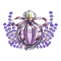 A bottle of lavender perfume and lavender flowers. Purple perfume with a ribbon bow. A watercolor illustration made by hand. Isolate her. For packaging, postcards and labels. For flyers and posters. png