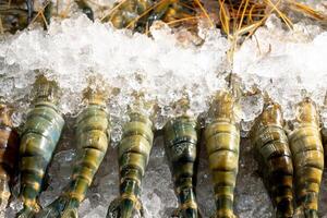 Fresh giant freshwater prawns or lobsters in stack frozen in ice stack on sale in stall in Thai market photo
