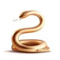Golden snake on plain background. Isolated. vector
