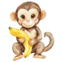 Cute monkey holding banana, showcasing playful expression and charm png