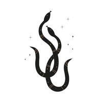 Boho illustration with snakes, stars, symbol of New Year. Hand drawn mystical reptiles on isolated background. Design elements for tattoo, card, print, paper, poster, logo, sign, flyer vector