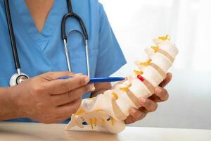 Doctor with lumbar vertebra bone skeleton and nerve model for treatment in the orthopedic department. photo
