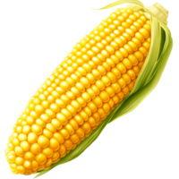 Fresh yellow corn on cob with green husk, perfect for summer meals png