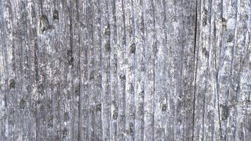 Old wood texture background photo