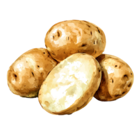 Fresh potatoes in pile, showcasing their earthy texture and color png