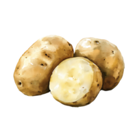 Fresh potatoes with smooth texture and earthy color png