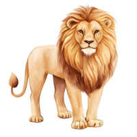 majestic lion with flowing mane stands confidently png