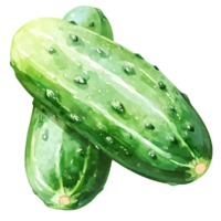 Fresh green cucumbers with vibrant texture and water droplets png