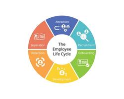 The employee lifecycle model or ELM is a model designed for journey an employee takes for attraction, recruitment, onboarding, retention, development, separation vector