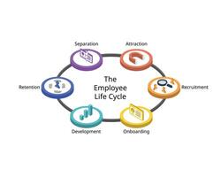 The employee lifecycle model or ELM is a model designed for journey an employee takes for attraction, recruitment, onboarding, retention, development, separation vector