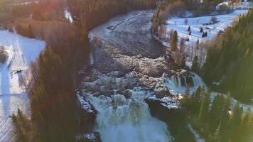 sereno invierno río fluido mediante Nevado bosques en sueco paisaje video