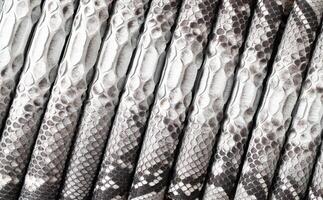 black and white python skin as background. snake skin texture with natural pattern photo