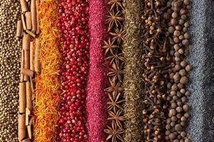 Spices and herbs background. Different seasonings are scattered in stripes color. photo