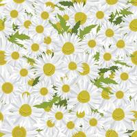 Chamomile Repeat Pattern Background Wallpaper vector