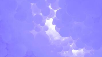 Purple background with flying balloons - clean design, 3d abstract realistic banner. photo