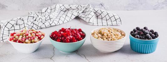 Assorted frozen red, white and black berries in bowls on table web banner photo