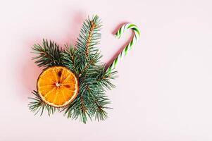 Dried orange and lollipop cane in a bouquet of live spruce branches on a pink background top view photo