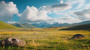 A large field with a mountain in the background photo