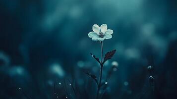 A white flower is the main focus of the image, which is set in a field of grass photo