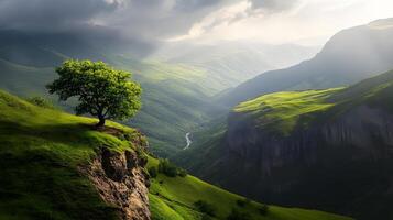 A tree is standing on a hillside in a lush green valley photo
