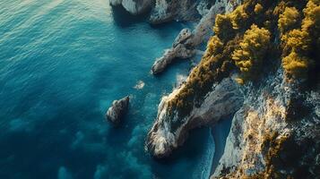 A beautiful ocean view with a rocky shoreline and trees in the background photo
