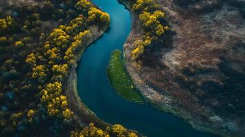 A river with trees on both sides and a green patch in the middle photo