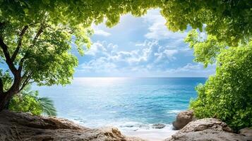 A beautiful view of the ocean with a tree in the foreground photo