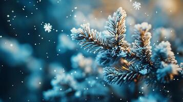 A snow covered tree branch with snowflakes falling on it photo