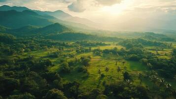 A lush green field with a mountain in the background photo