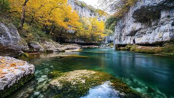 A river with a rocky shoreline and a forest in the background photo