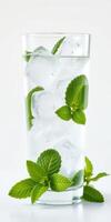 Refreshing mint beverage with ice served in a tall glass on a white background photo