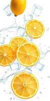 Fresh lemon slices and ice cubes create a refreshing splash in cool water photo