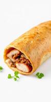 Savory rolled tortilla filled with seasoned chicken and herbs served on a clean surface photo